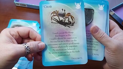 Unboxing The Animal Allies & Gemstone Guardians Oracle Cards by Margaret Ann Lembo