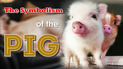 The Symbolism of the Pig