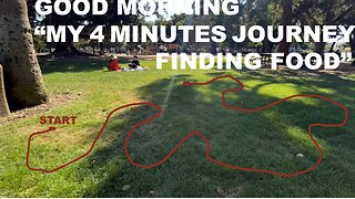 Squirrel’s 4 minutes journey in finding food at the Park - busy daily life