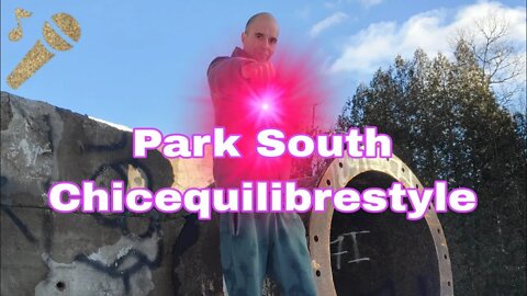 Music Video - Park South Freestyle ( Jake Paul ) Remix Chicequilibrestyle