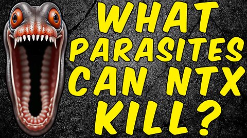 What Parasites Can Nitazoxanide Kill?