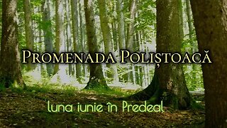 Promenada Poliștoacă în luna iunie