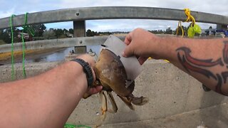 Crabbing 12th Ave Bridge in Seaside, Oregon