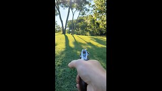 Ruger SP-101, A One Hitter Quitter