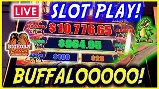 🔴 LIVE SLOTS! LET'S GET A BUFFALO LINK GRAND JACKPOT CHALLENGE! BIGHORN CASINO!