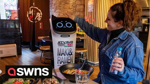 Cat-like robot waiter entertains customers at Japanese restaurant in Scotland