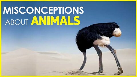 10 COMMON MISCONCEPTIONS ABOUT ANIMALS | SHEEP | COWS | GOLDFISH | DOGS