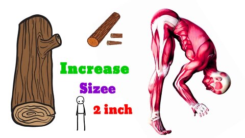 increase plank exercise 2 inch in day fast at home