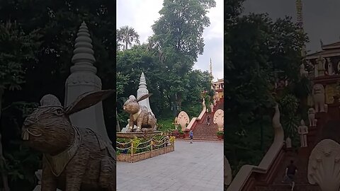 Great Horn Bill Phnom Penh Cambodia 🇰🇭 #shorts #cambodia #phnompenh #nature