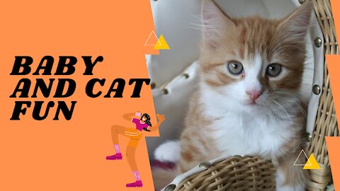 Baby and Cat Fun and Cute - Funny Baby Video, cute and funny