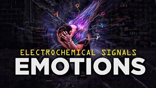 THE MOLECULES THAT SUPPORT THE REGULATION OF OUR MIND | ELECTROCHEMICAL SIGNALS | EMOTIONAL QUALITY