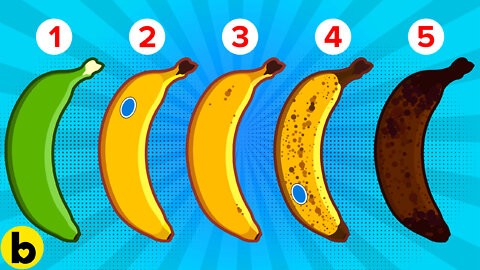 Which Banana Would You Eat?