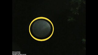 Strange phenomenon caught by the camera on a drizzly night, its not the moon... [Nature & Animals]