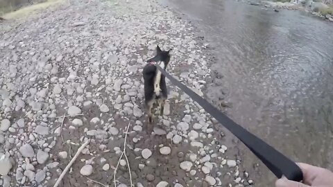 Conejos River with Camper