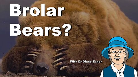Brolar Bears? #bears #polar #brown #hybrid