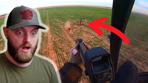 INSANE Helicopter Hog Hunting | Sniper Reacts