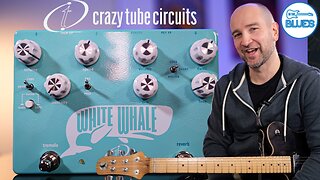 Crazy Tube Circuits White Whale V2 Reverb & Tremolo Pedal Review
