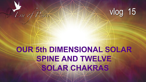 VLOG 15 - OUR 5th DIMENSIONAL SOLAR SPINE AND TWELVE SOLAR CHAKRAS