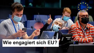 EU Zukunft: Migration & Rolle der EU - Bürgerforum Erfahrungen