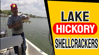 Shellcracker and Bream Fishing on Lake Hickory