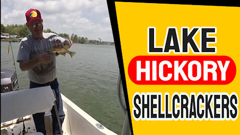 Shellcracker and Bream Fishing on Lake Hickory