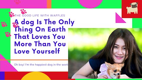 A dog Is The Only Thing On Earth That Loves You More Than You Love Yourself