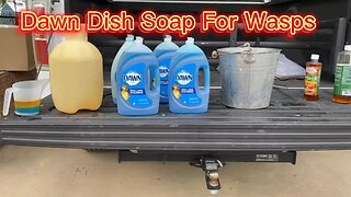 Dawn Dish Soap For Wasps