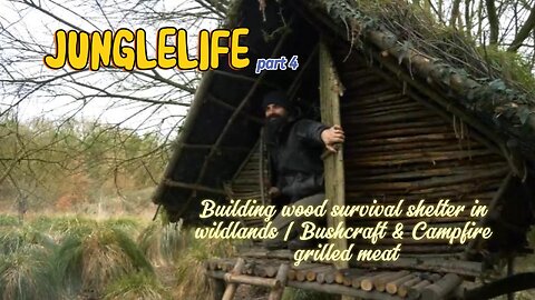 Building wood survival shelter in wildlands | Bushcraft & Campfire grilled meat 4