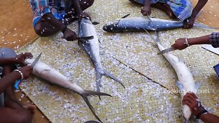 GIANT FISH FRY | Villagers cooking big fish fry in village cooking style | Village Food Cooking