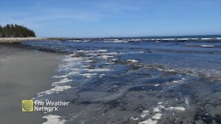 A sunny and blustery day at Roseway Beach