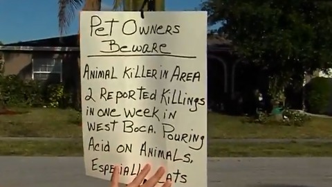 Animal Care and Control investigating cat killed in Boca Raton
