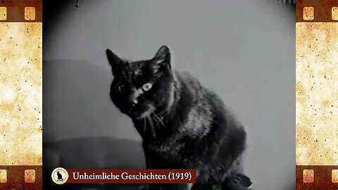 Unheimliche Geschichten (1919) 🐱 Cat Movies 🎥🐈