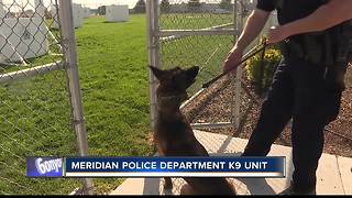 Meridian K9 PKG