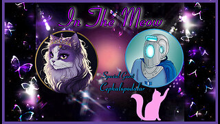 In The Meow | With Special Guest Cephalopodular