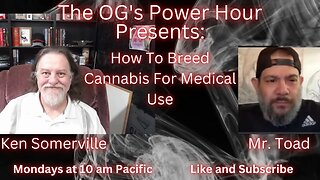 How To Breed Cannabis For Medical Use