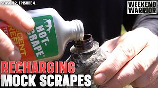 Replenishing Mock Scrapes for Deer