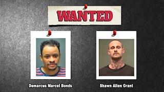 FOX Finders Wanted Fugitives - 9-25-20