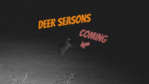 Getting Ready for Deer Season!