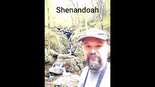 Shenandoah