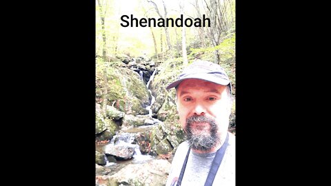 Shenandoah