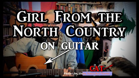Bob Dylan's Girl From the North Country on Guitar (with my cat)
