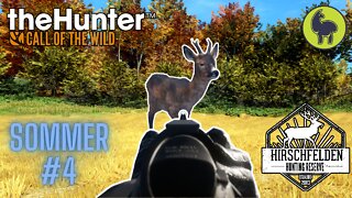 The Hunter: Call of the Wild, Sommer #4 Hirschfelden (PS5 4K)