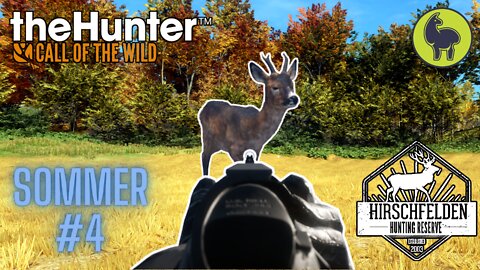 The Hunter: Call of the Wild, Sommer #4 Hirschfelden (PS5 4K)