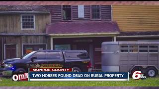 Two horses found dead, one severely malnourished on Monroe County property