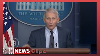 Fox News Reporter Lays Trap and Gets Fauci to Fall Right Into It - 5405