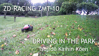 ZD-Racing Thunder ZMT-10 / 10427 - S / 9106 on 2S lipo In the park