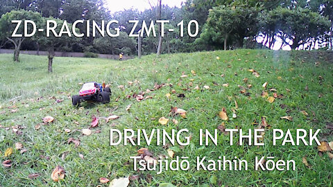 ZD-Racing Thunder ZMT-10 / 10427 - S / 9106 on 2S lipo In the park