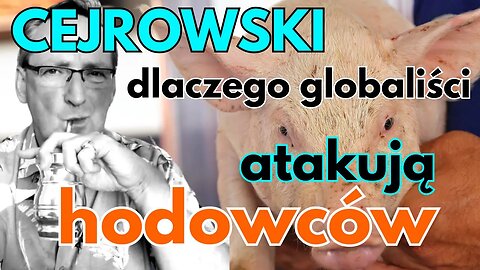 Cejrowski i Lisicki: dlaczego globaliści atakują hodowców?