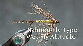 Salmon-Fly Type - Wet-Fly Attractor (Fling & Puterbaugh 24/30)