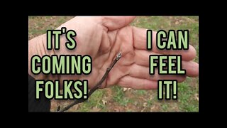 It's Coming!! - Ann's Tiny Life